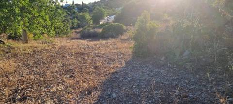 Projecto Aprovado para construção