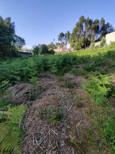Terreno com 1.4Hec em Grijó, Vila Nova de Gaia