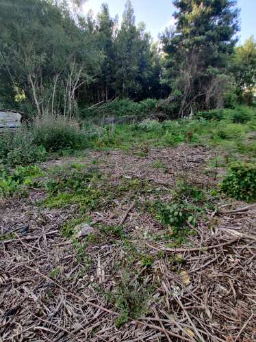 Terreno com 1.4Hec em Grijó, Vila Nova de Gaia