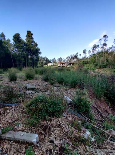 Terreno com 1.4Hec em Grijó, Vila Nova de Gaia