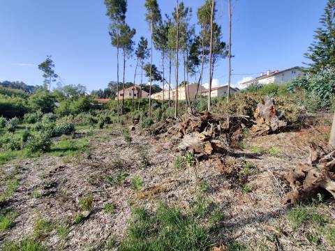 Terreno com 1.4Hec em Grijó, Vila Nova de Gaia