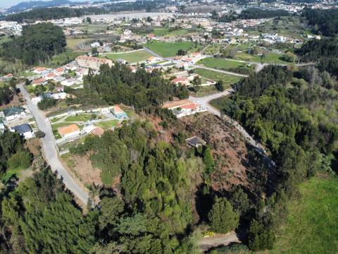 Terreno com 1.4Hec em Grijó, Vila Nova de Gaia