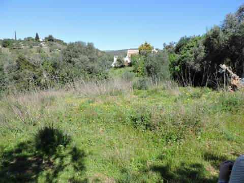 terreno para construção de Moradia- Vale Judeu