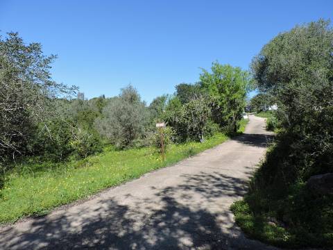 terreno para construção de Moradia- Vale Judeu