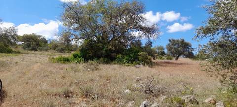 Terreno Rustico - Boliqueime