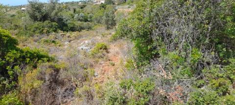 Terreno Rustico - Boliqueime