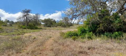 Terreno Rustico - Boliqueime