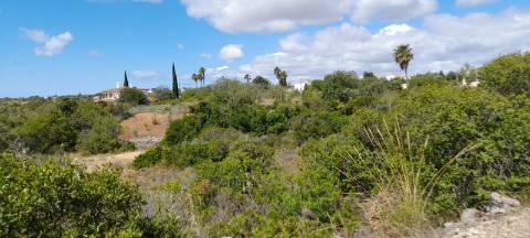 Terreno Rustico - Boliqueime