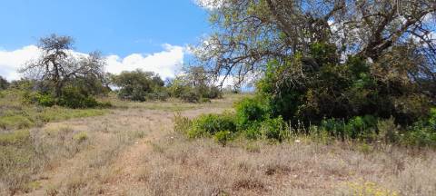 Terreno Rustico - Boliqueime