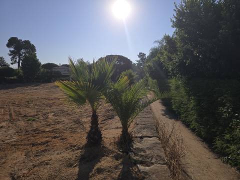 Terreno Frente Golf - Vila Sol