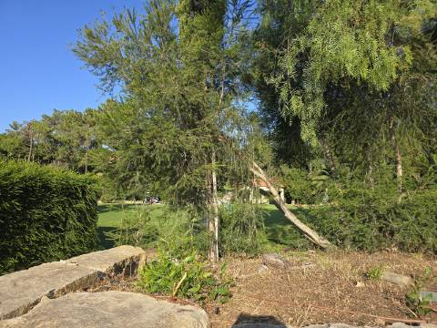 Terreno Frente Golf - Vila Sol