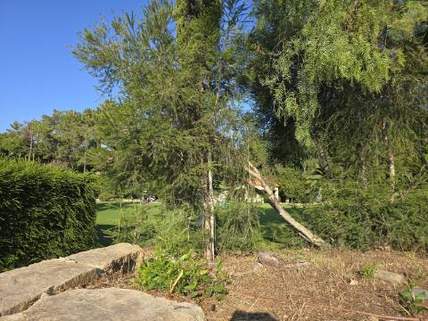 Terreno Frente Golf - Vila Sol