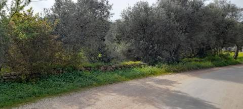 Terreno Misto - Albufeira