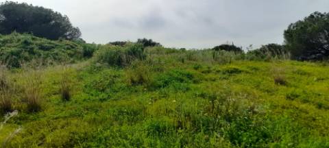 Terreno Misto - Albufeira