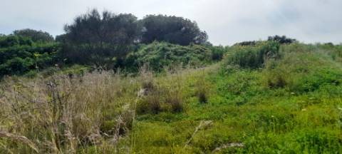 Terreno Misto - Albufeira