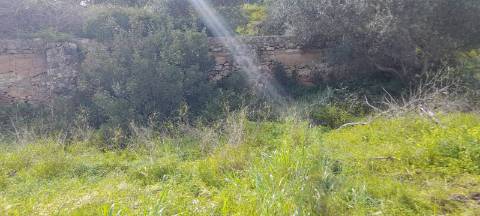 Terreno Misto - Albufeira