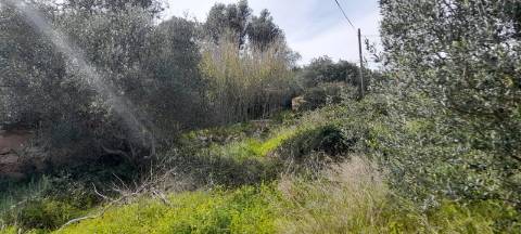 Terreno Misto - Albufeira