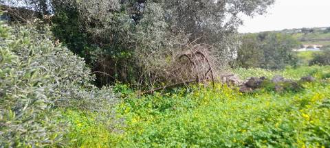 Terreno Misto - Albufeira