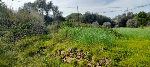 Terreno Misto - Albufeira