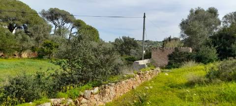 Terreno Misto - Albufeira