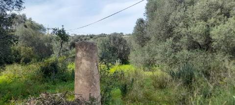 Terreno Misto - Albufeira