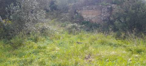 Terreno Misto - Albufeira