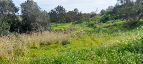 Terreno Misto - Albufeira