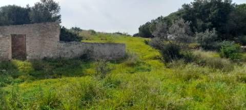 Terreno Misto - Albufeira