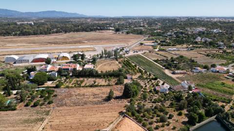Terreno em Alvor- Venda- Hometown