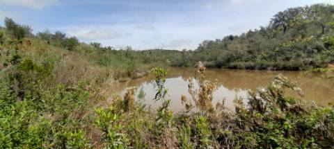 Terreno rústico - Odemira