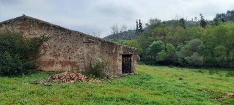 Terreno rústico - Odemira