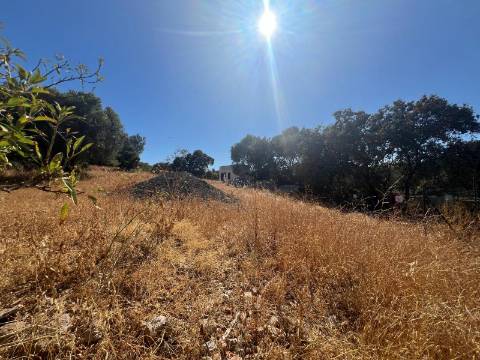 Terreno com projeto aprovado - Goncinha