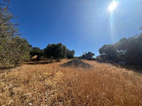 Terreno com projeto aprovado - Goncinha