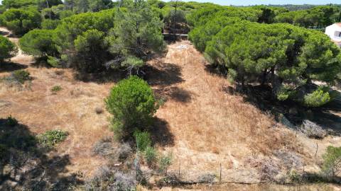 Terreno Rústico - Almancil