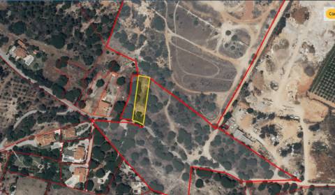 Terreno Rústico - Almancil