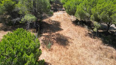Terreno Rústico - Almancil