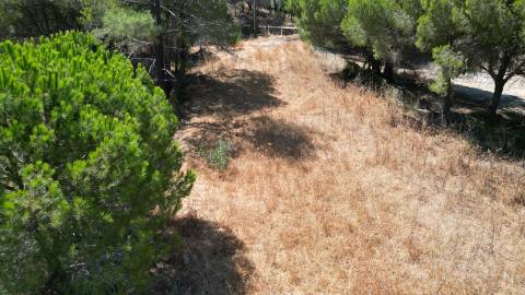 Terreno Rústico - Almancil