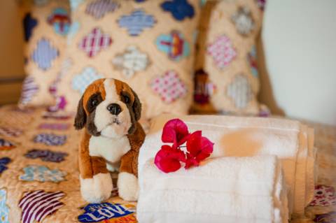 Hostel de 22 Quartos na Guia