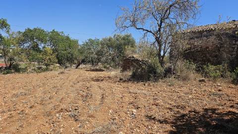 Moradia para Restaurar - BOLIQUEIME