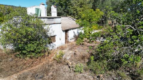 Moradia para Restaurar