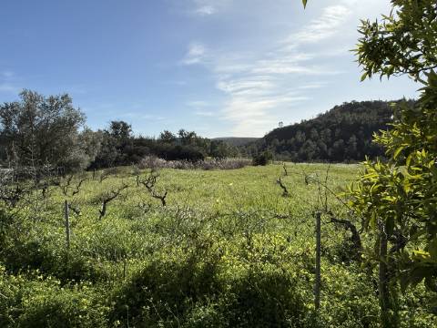 Casa térrea V3 - Querença