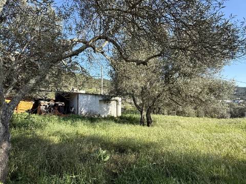 Casa térrea V3 - Querença
