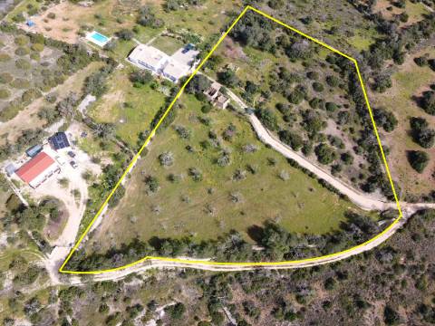 Terreno com projeto em aprovação - Patã, Albufeira