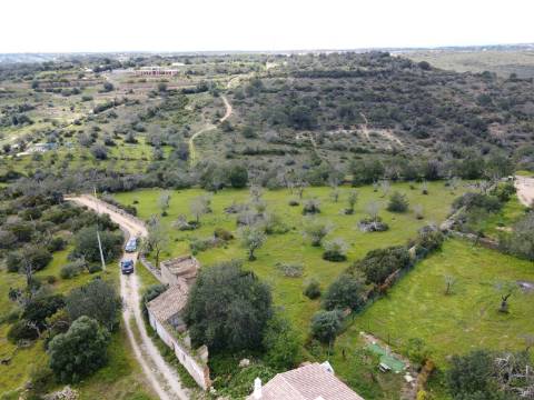 Terreno com projeto em aprovação - Patã, Albufeira