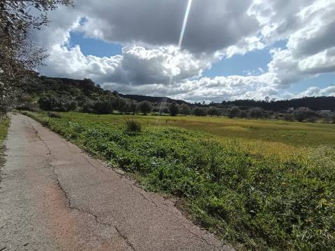 Terreno Rústico - Alte