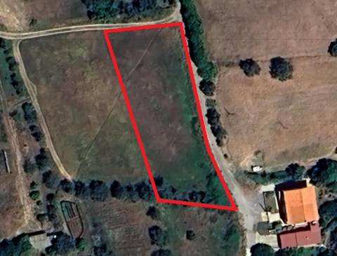 Terreno Rústico - Alte