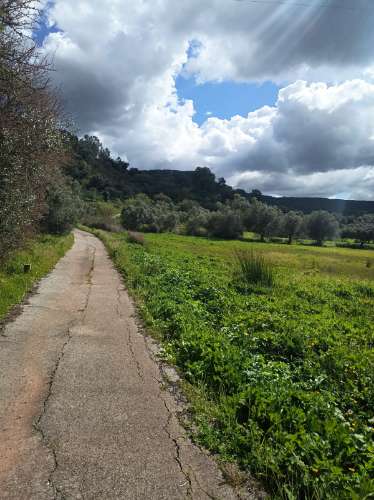 Terreno Rústico - Alte
