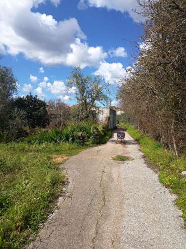 Terreno Rústico - Alte