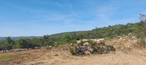 Terreno rústico - Loulé