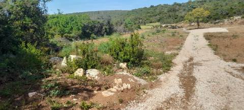 Terreno rústico - Loulé